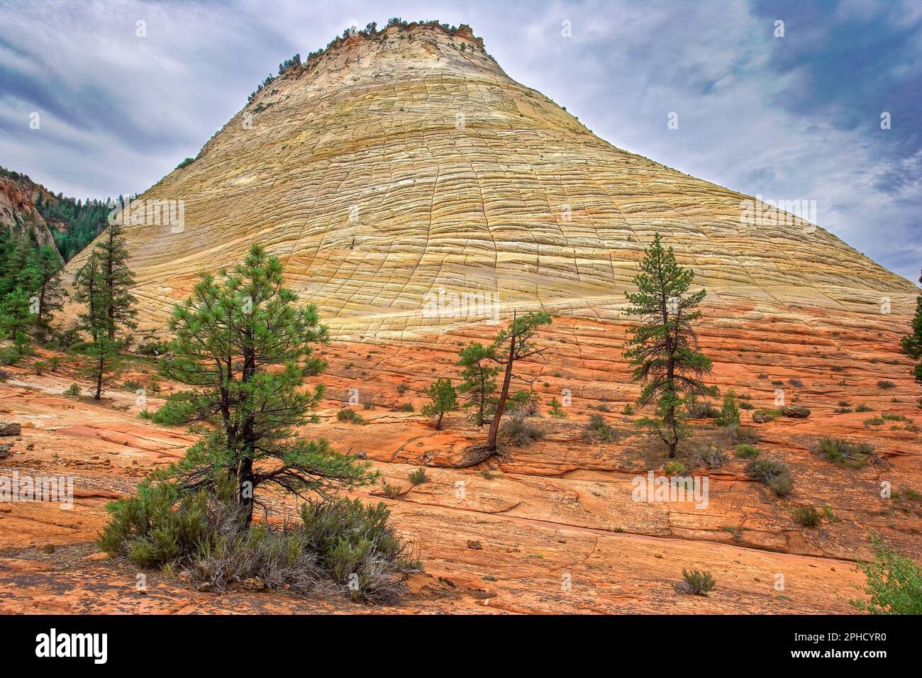 Crossbedding Sandstone at Checkerboard Mesa - Zion National Park Utah Stock Photo