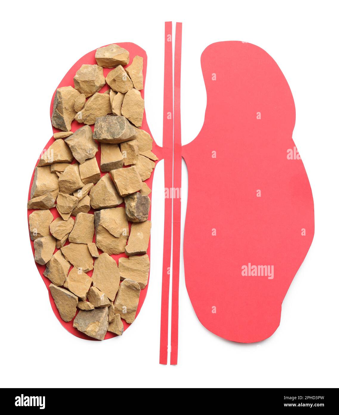 neurontin and kidneys