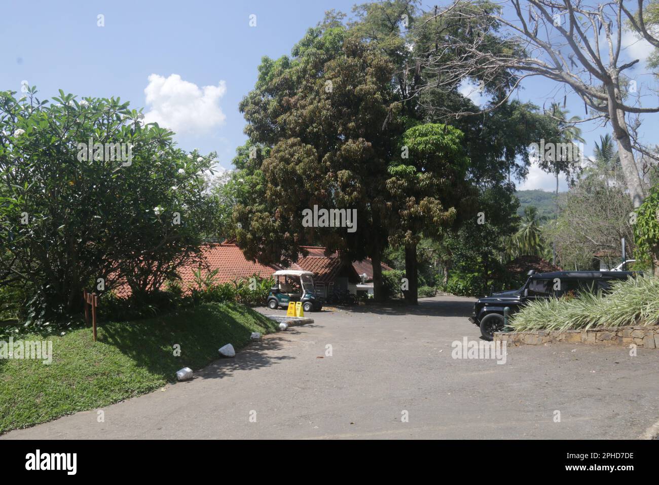 Photograpy in sri lanka hi-res stock photography and images - Alamy