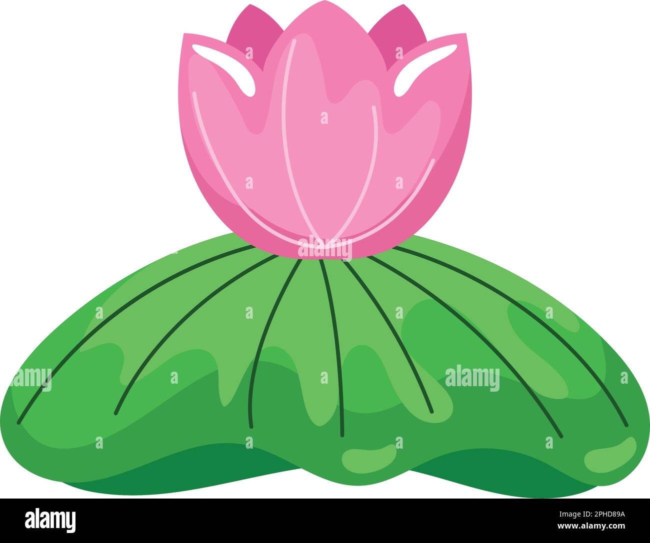 Pink lotus flower Stock Vector Image & Art - Alamy