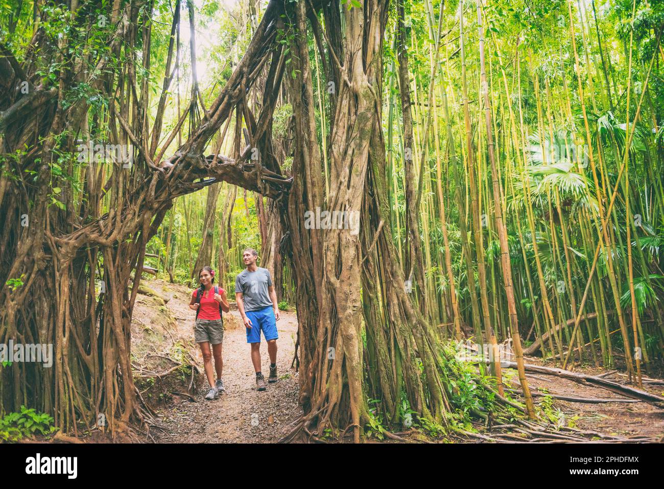 Hawaii hike hikers walking in lush rainforest trekking and hiking amongst banyan trees and bamboos, Oahu Travel. Couple tourists happy in nature Stock Photo