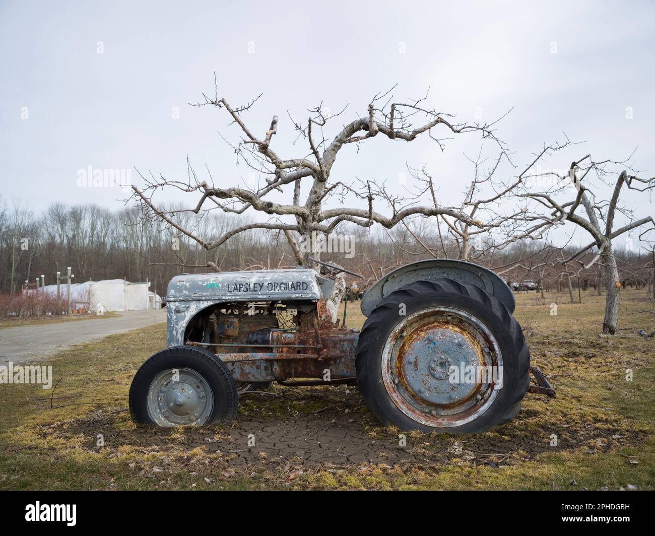 Apple Farm Old Tractor New England Stock Photo Alamy