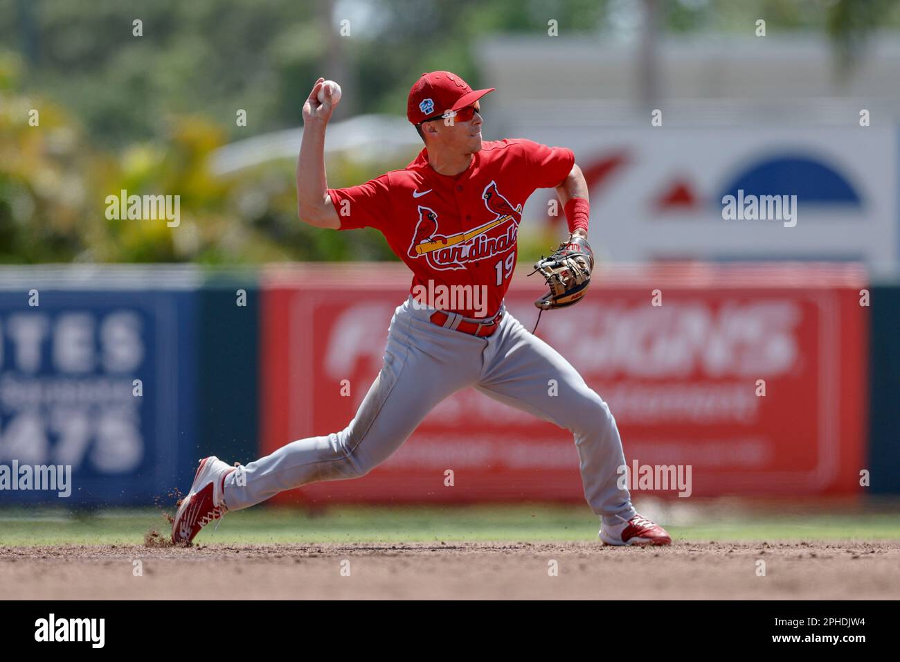 March 27, 2023; Sarasota FL USA; St. Louis Cardinals second baseman Tommy  Edman (19) throws to first base during an MLB spring training game against  t Stock Photo - Alamy