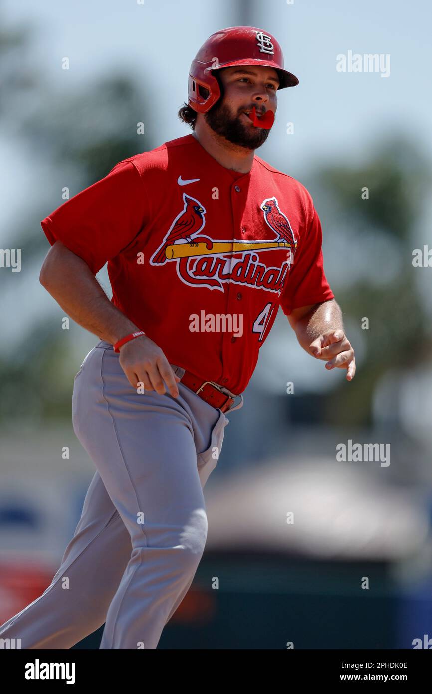 March 27, 2023; Sarasota FL USA; St. Louis Cardinals right fielder Alec Burleson (41) rounds third to score on the home run by infielder Jacob Buchber Stock Photo
