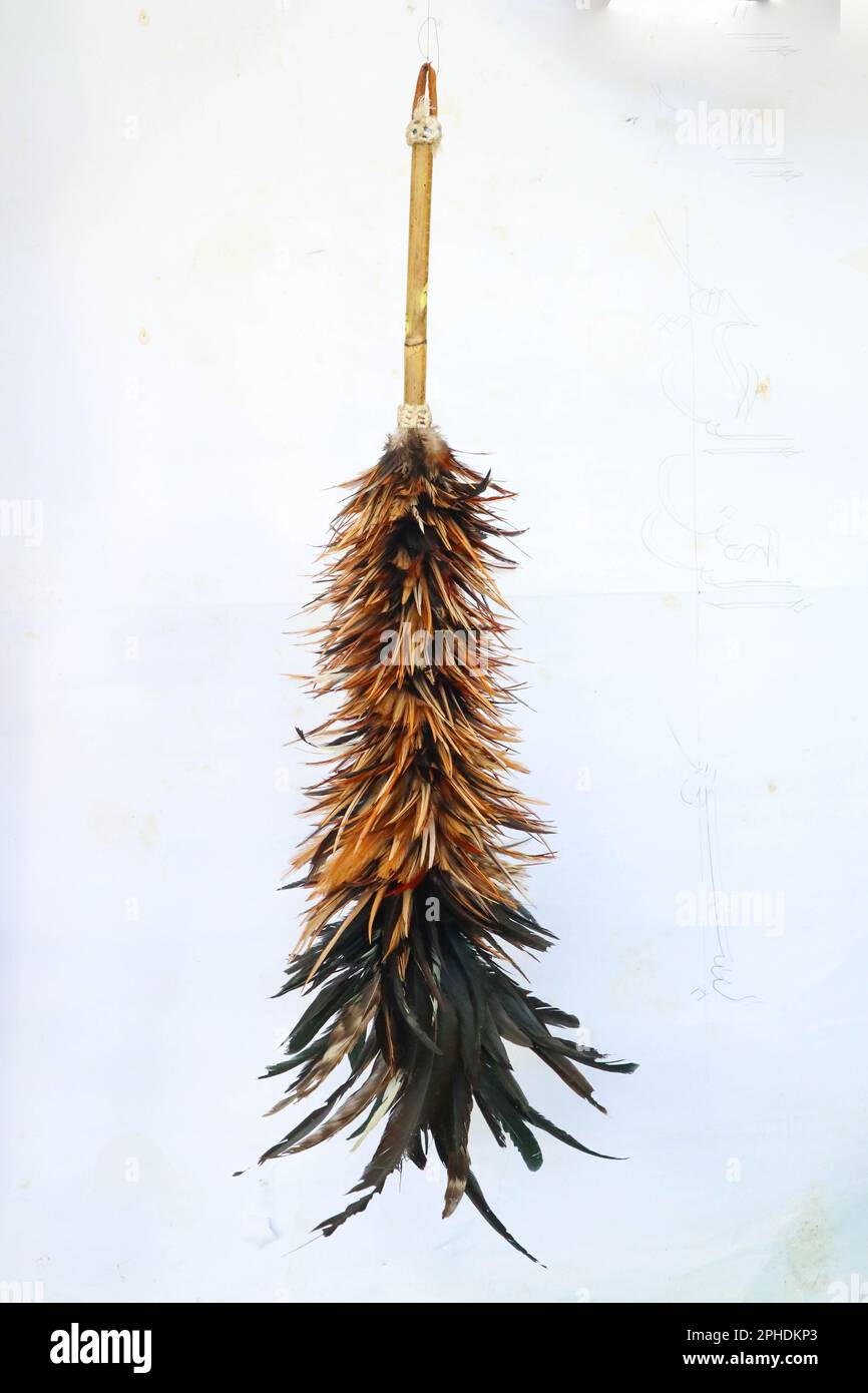 duster, feather duster, duster of chicken feathers isolated on white