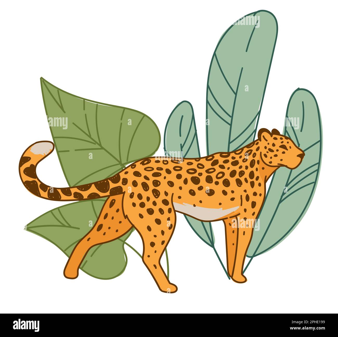 Walking palm tree Cut Out Stock Images & Pictures Alamy