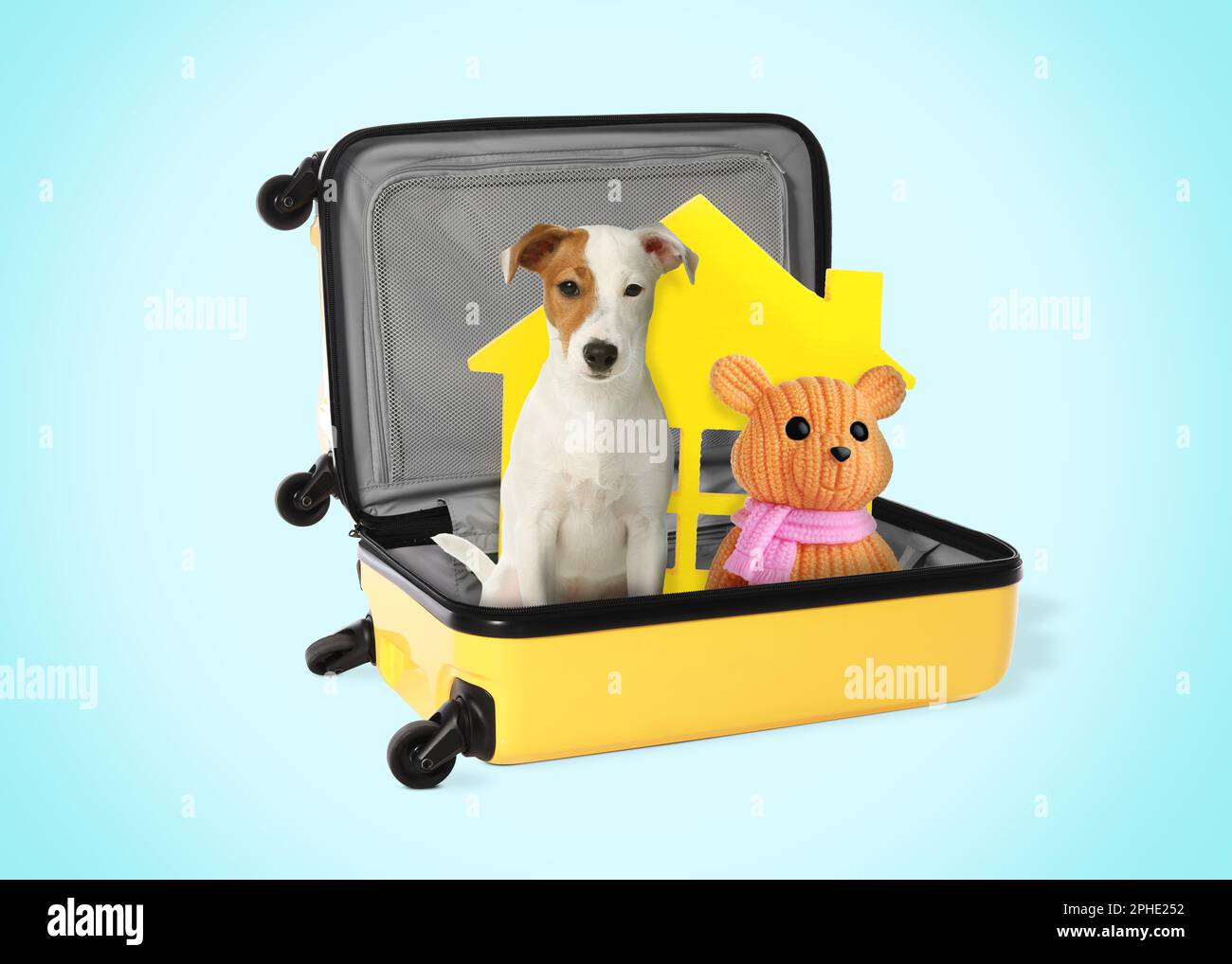 Cute dog toy bear and model of house in suitcase on light blue
