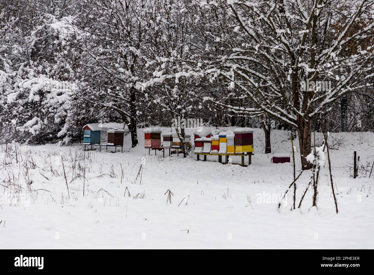 Beehives in field trees hi-res stock photography and images - Alamy