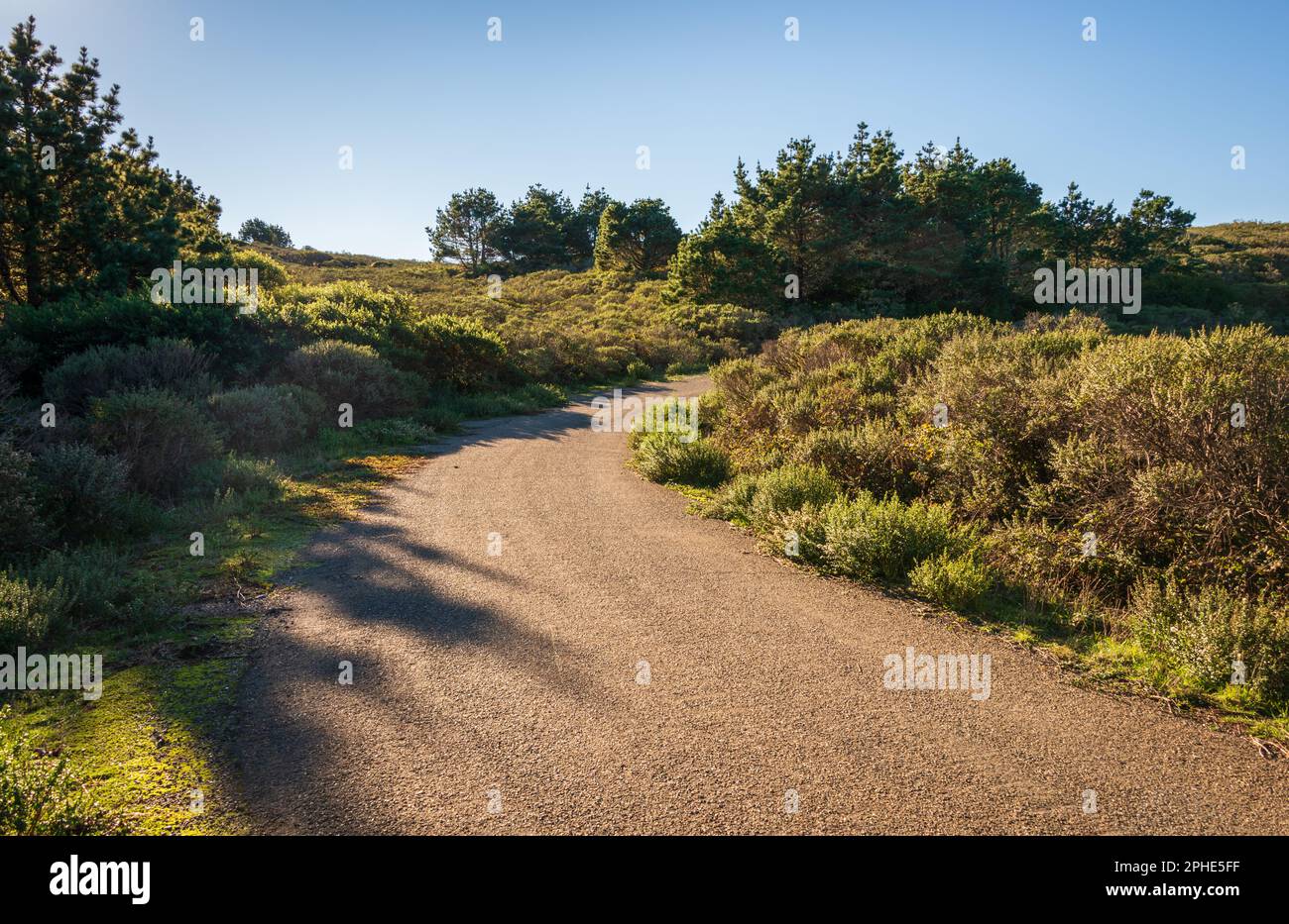Point Reyes Drive Point reyes scenic drive hi-res stock photography and images - Alamy
