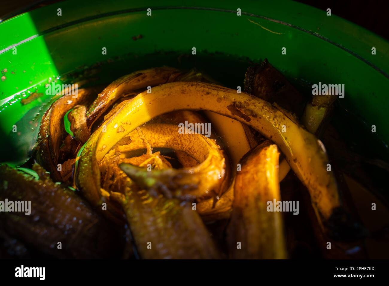 Banana peel soaked in water closeup. Banana peel tincture for