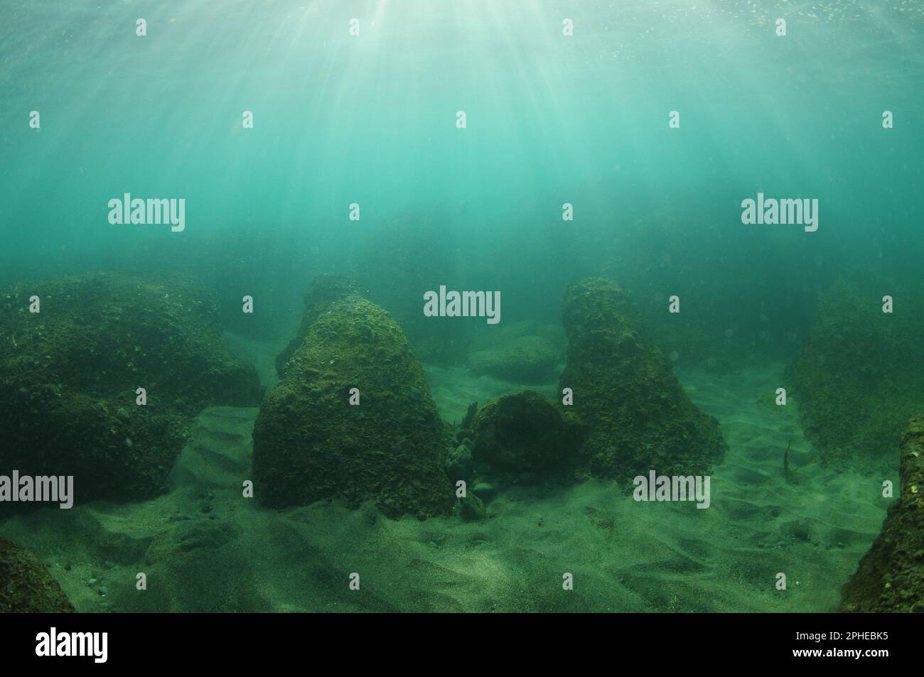 Rocks partially buried in sandy bottom in shallow water lit by backlight. Location: Leigh New Zealand Stock Photo