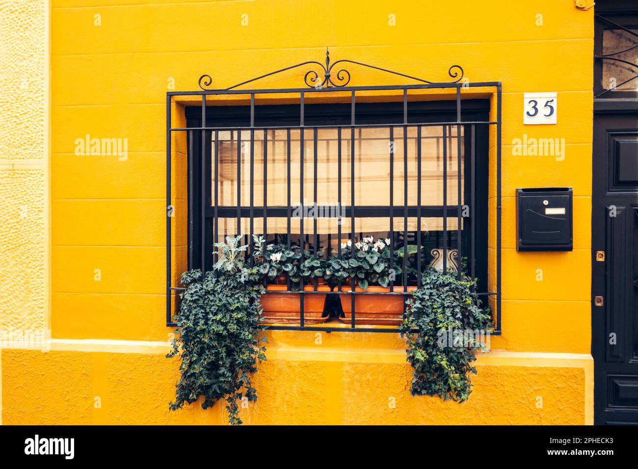 Window with decorative black iron bars overgrown with potted flower