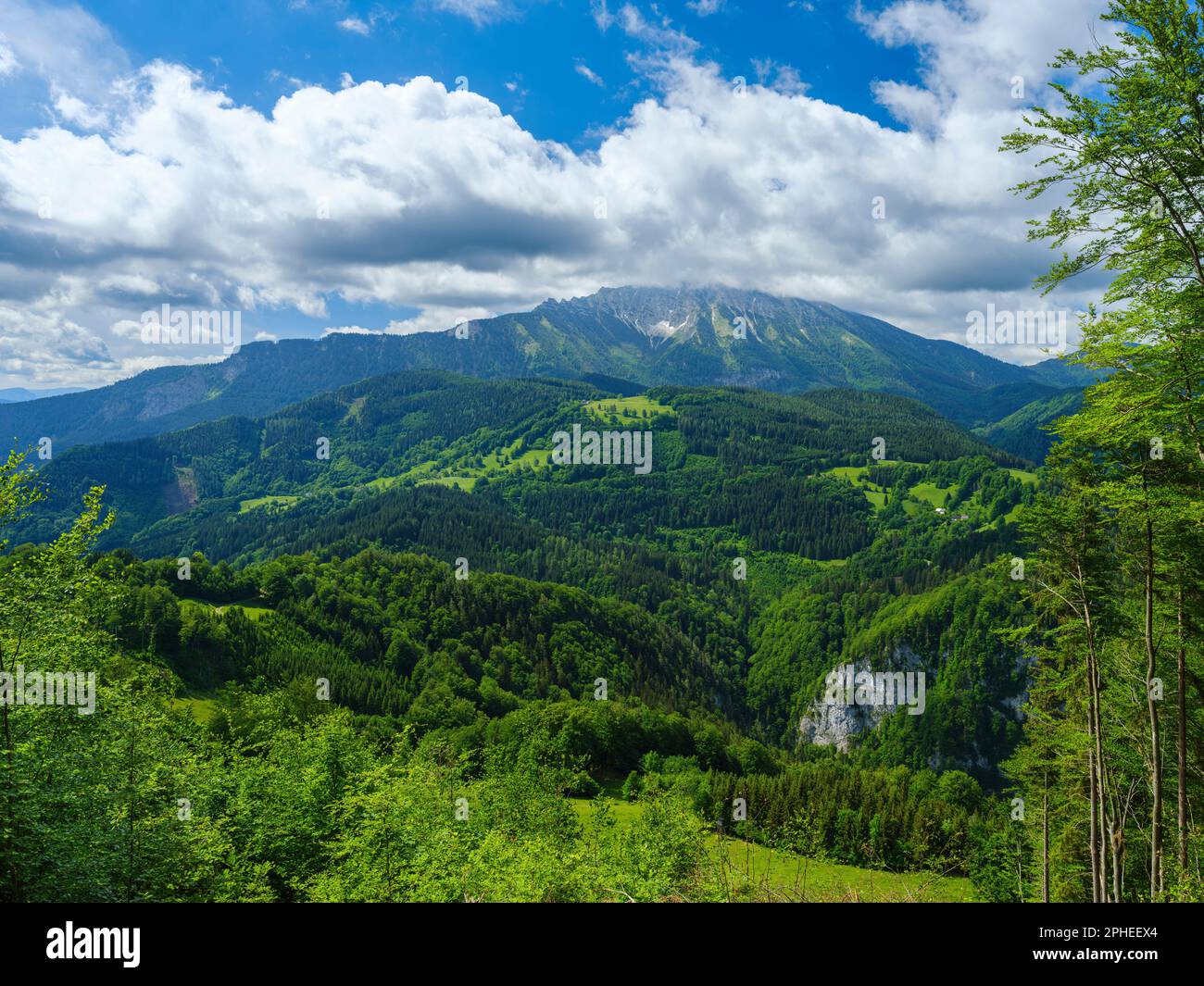 Mt. Oetscher (1893m), Nature Park Oetscher-Tormaeuer in the Alps of Lower Austria. Europe, Austria, June Stock Photo
