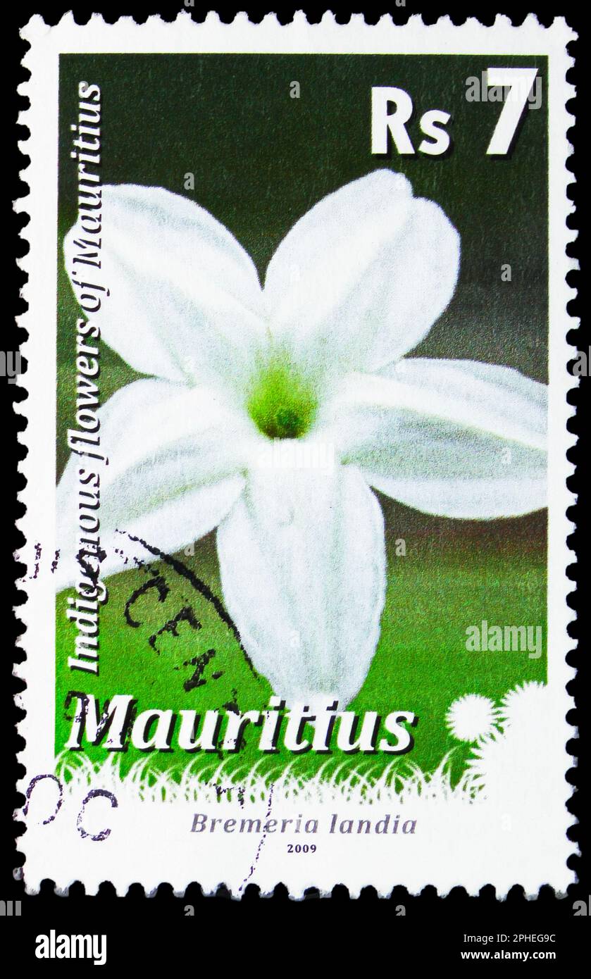 Bremeria landia hires stock photography and images Alamy