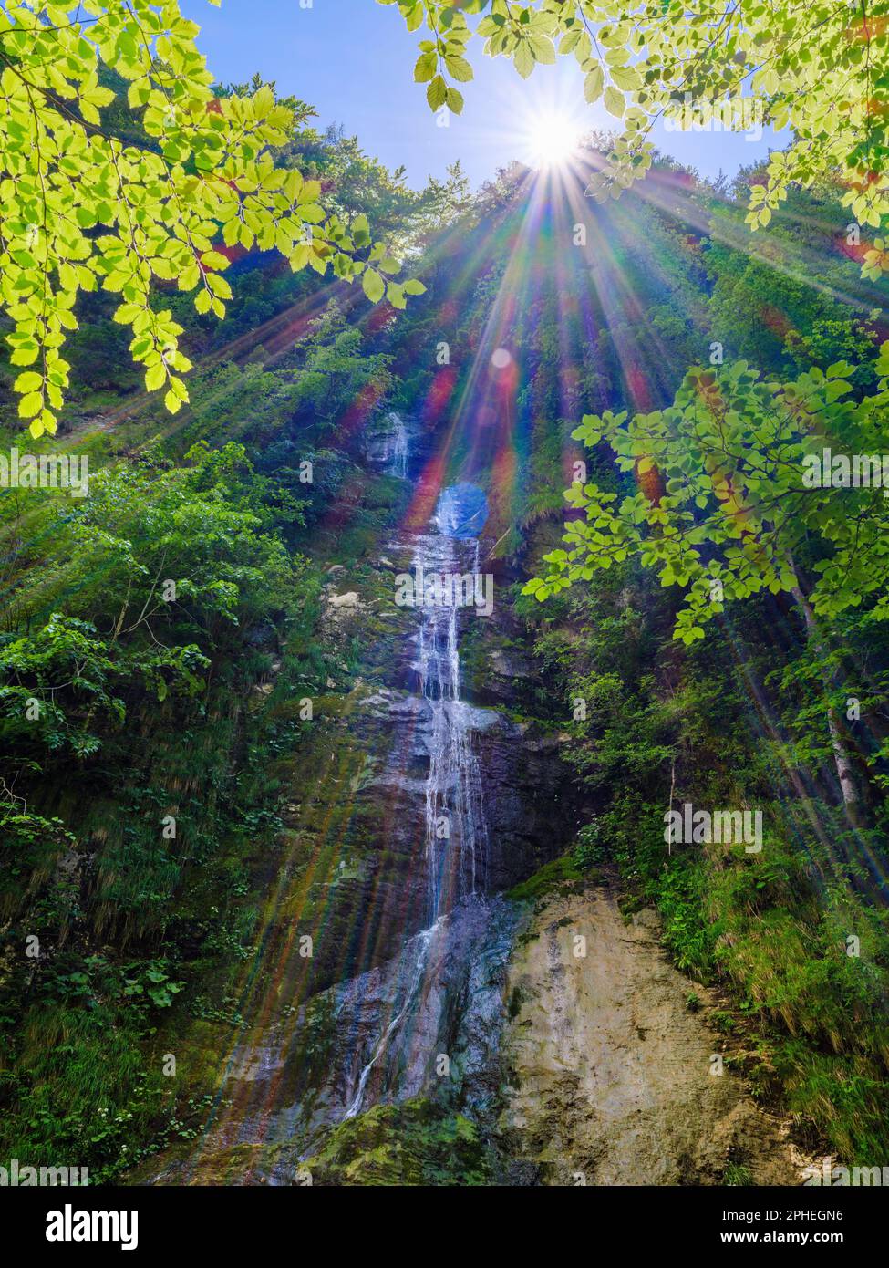 Waterfall Hundsbachfall in the gorge of river  Erlauf in the  Nature Park Oetscher-Tormaeuer in the Alps of Lower Austria. Europe, Austria, June Stock Photo