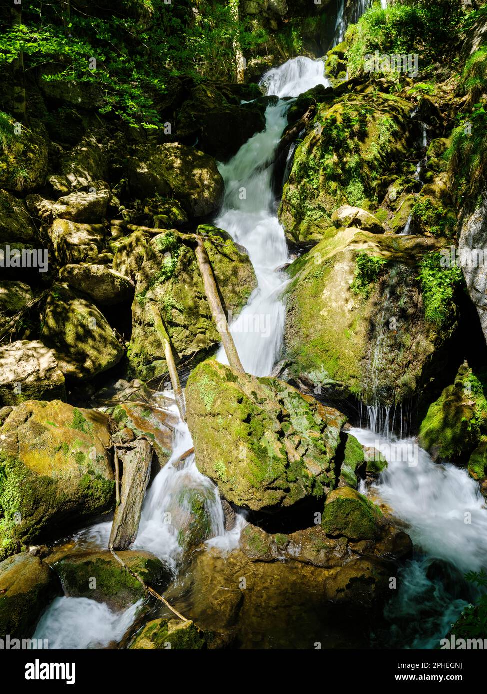 Waterfall Trefflingfall, the longest waterfall in lower Austria. Nature Park Oetscher-Tormaeuer in the Alps of Lower Austria. Europe, Austria, June Stock Photo