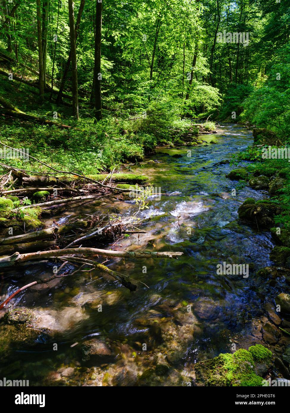 Creek Trefflingbach in the  Nature Park Oetscher-Tormaeuer in the Alps of Lower Austria. Europe, Austria, June Stock Photo