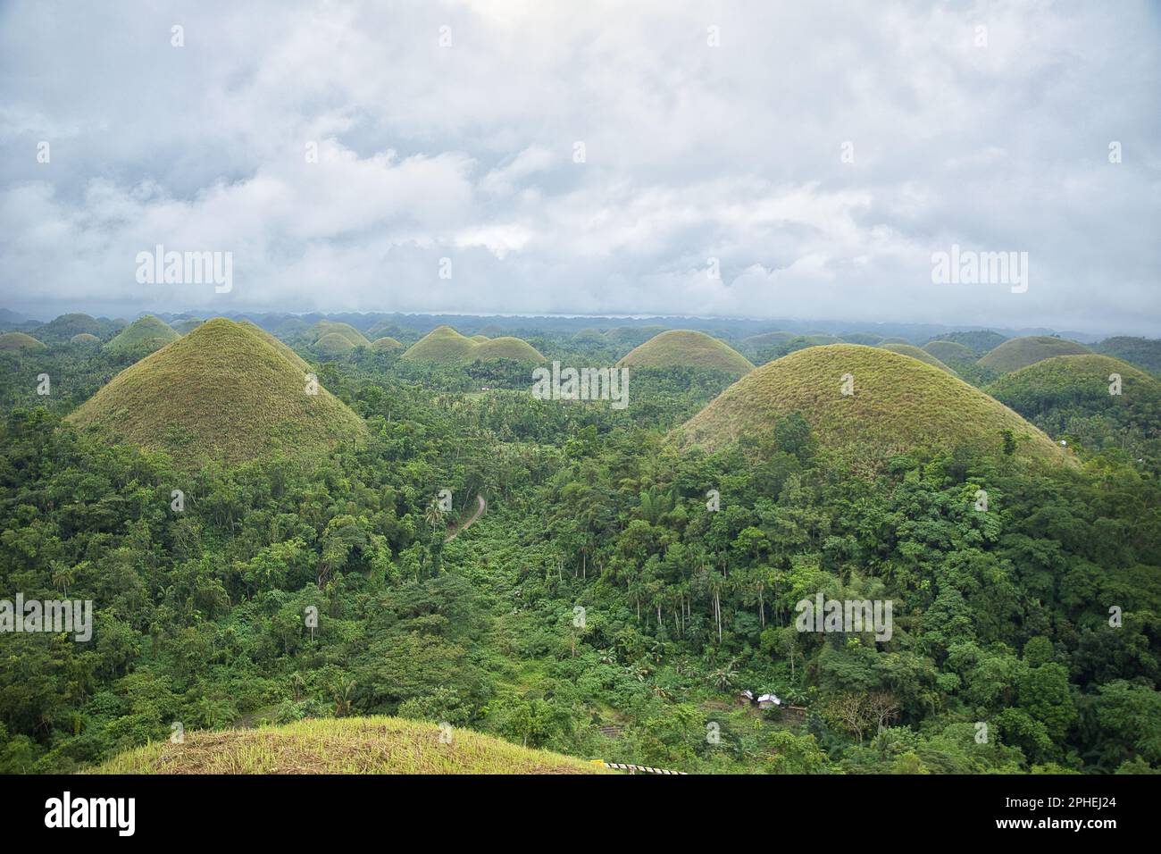The dome and coneshaped chocolate hills of Bohol in the Philippines