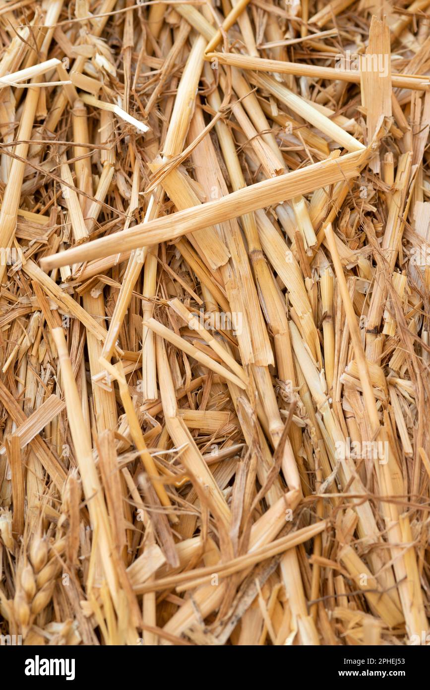 Straw Close Up Stock Photo Alamy