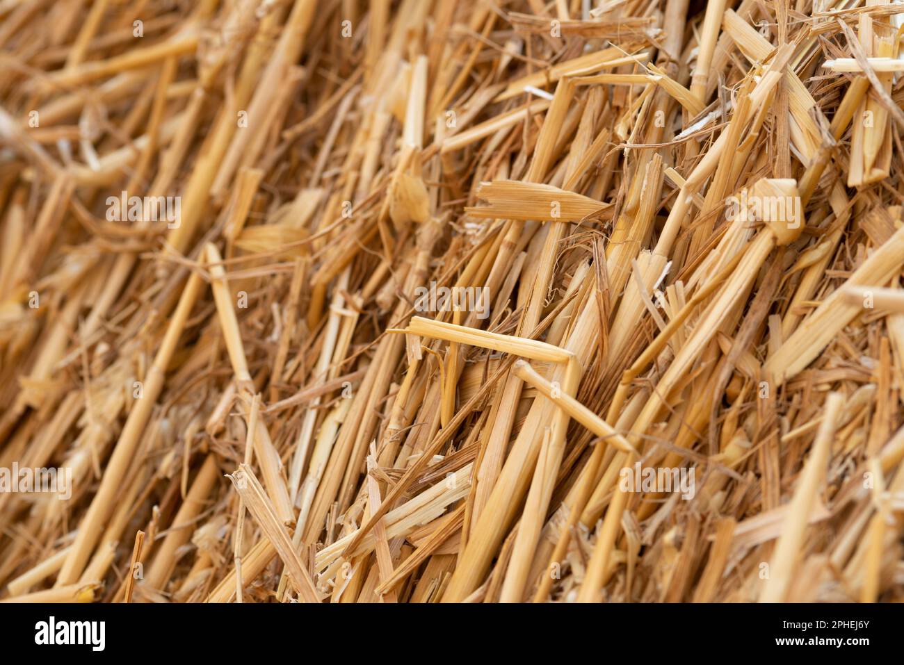 Straw Close Up Stock Photo Alamy