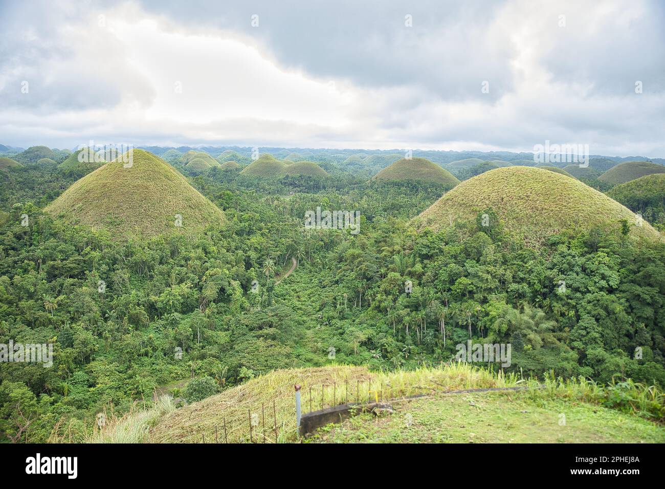 The dome and coneshaped chocolate hills of Bohol in the Philippines