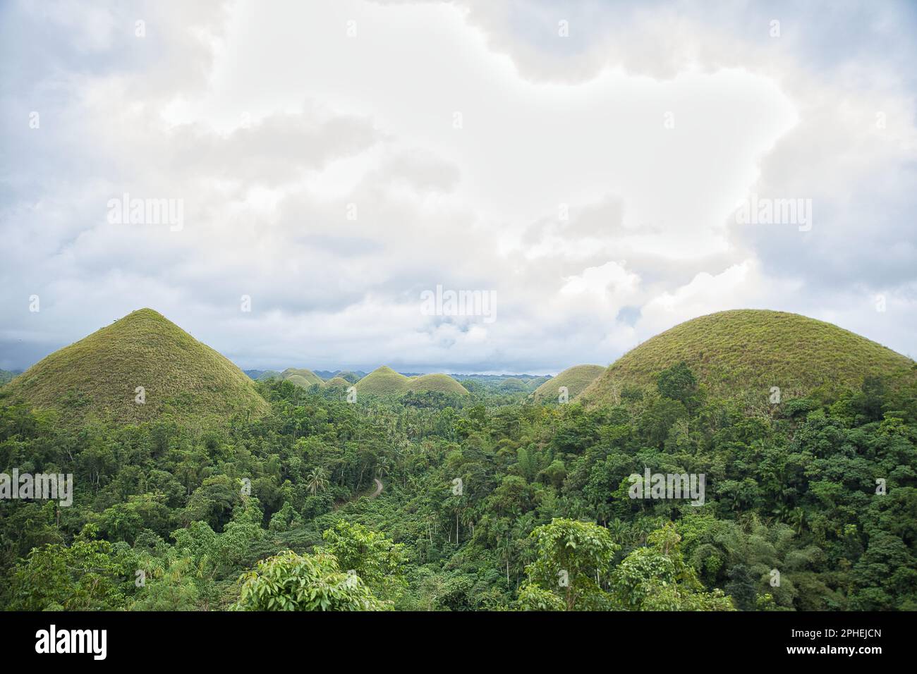 The dome and coneshaped chocolate hills of Bohol in the Philippines
