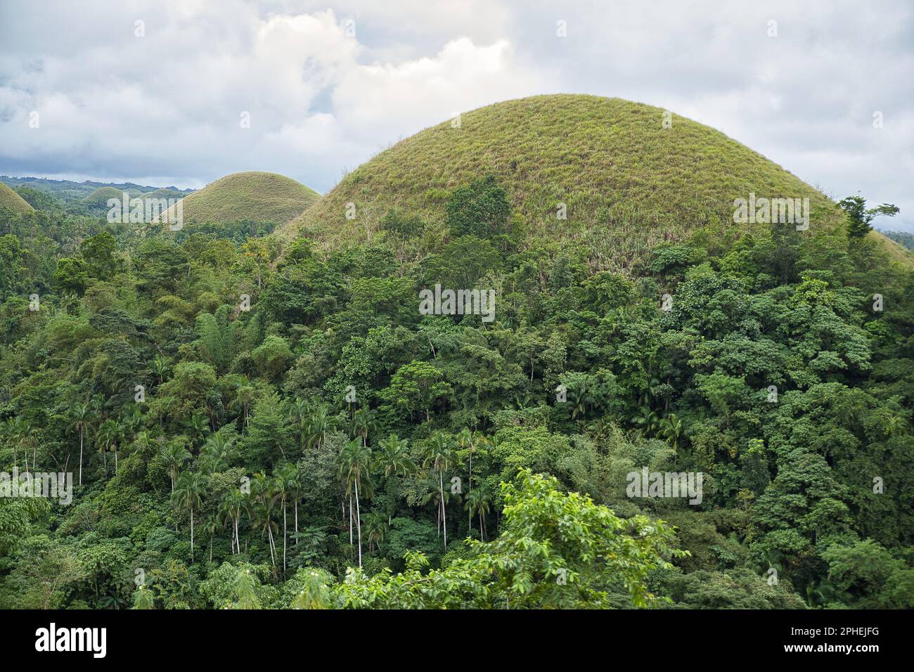 The dome and coneshaped chocolate hills of Bohol in the Philippines