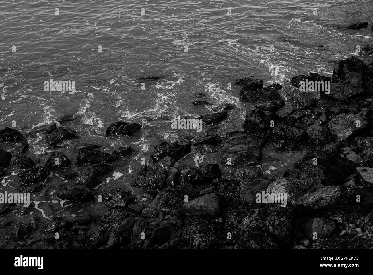 A grayscale of the rocky shore of a sea with calm waves Stock Photo - Alamy