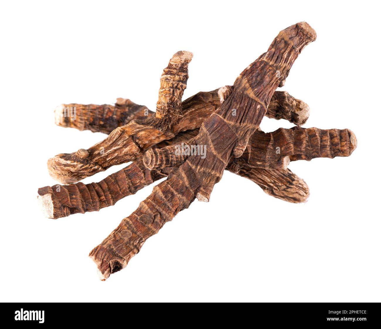 Calamus root isolated on white background. Sweet flag, sway or muskrat