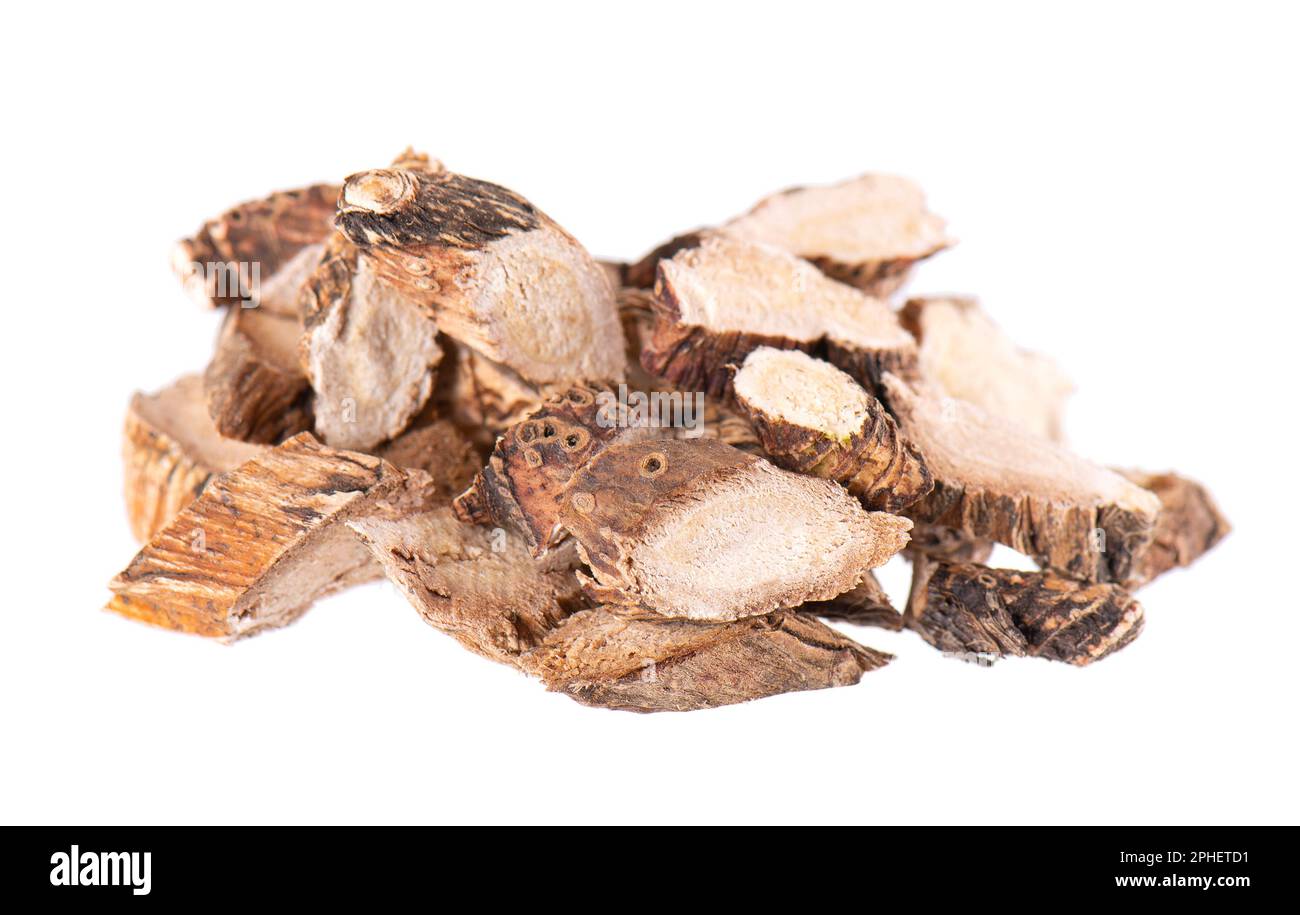 Calamus root isolated on white background. Sweet flag, sway or muskrat