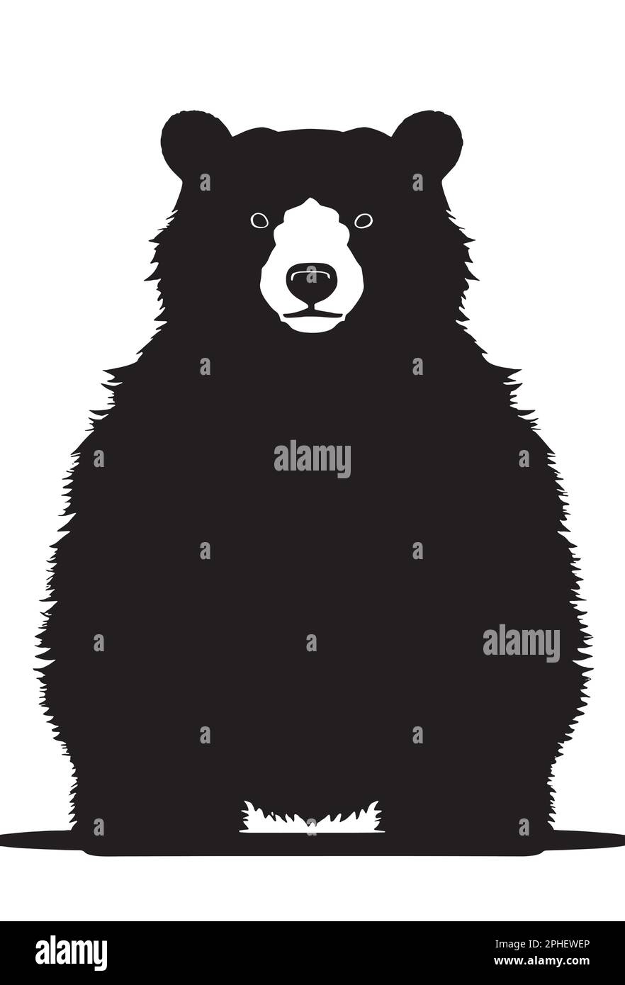 Young black bear standing Stock Vector Images - Alamy