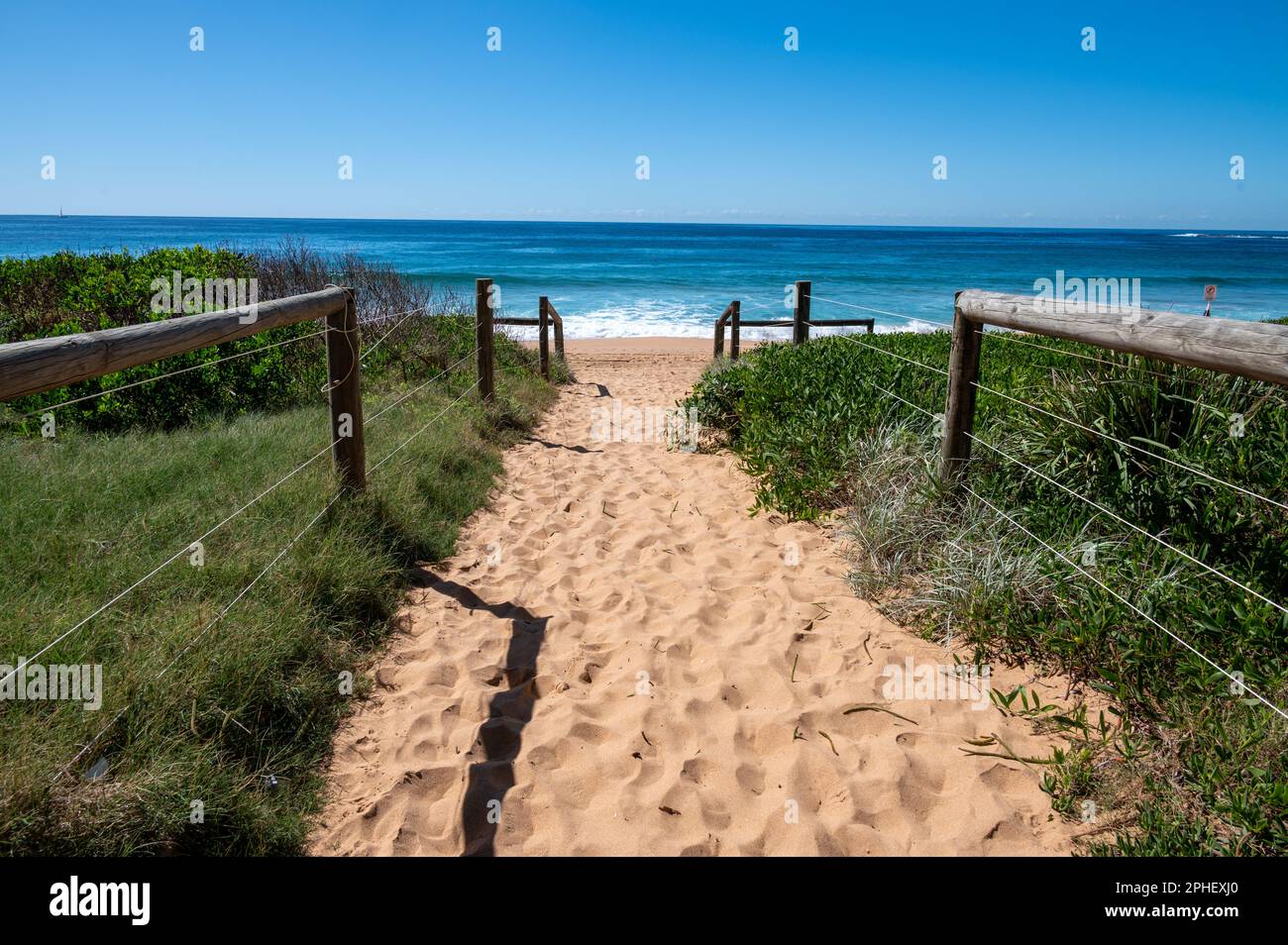 Under a clear blue sky a sandy path leads to Newport Beach and The Pacific Ocean on Sydney’s North Beaches, New South Wales, Australia. Stock Photo