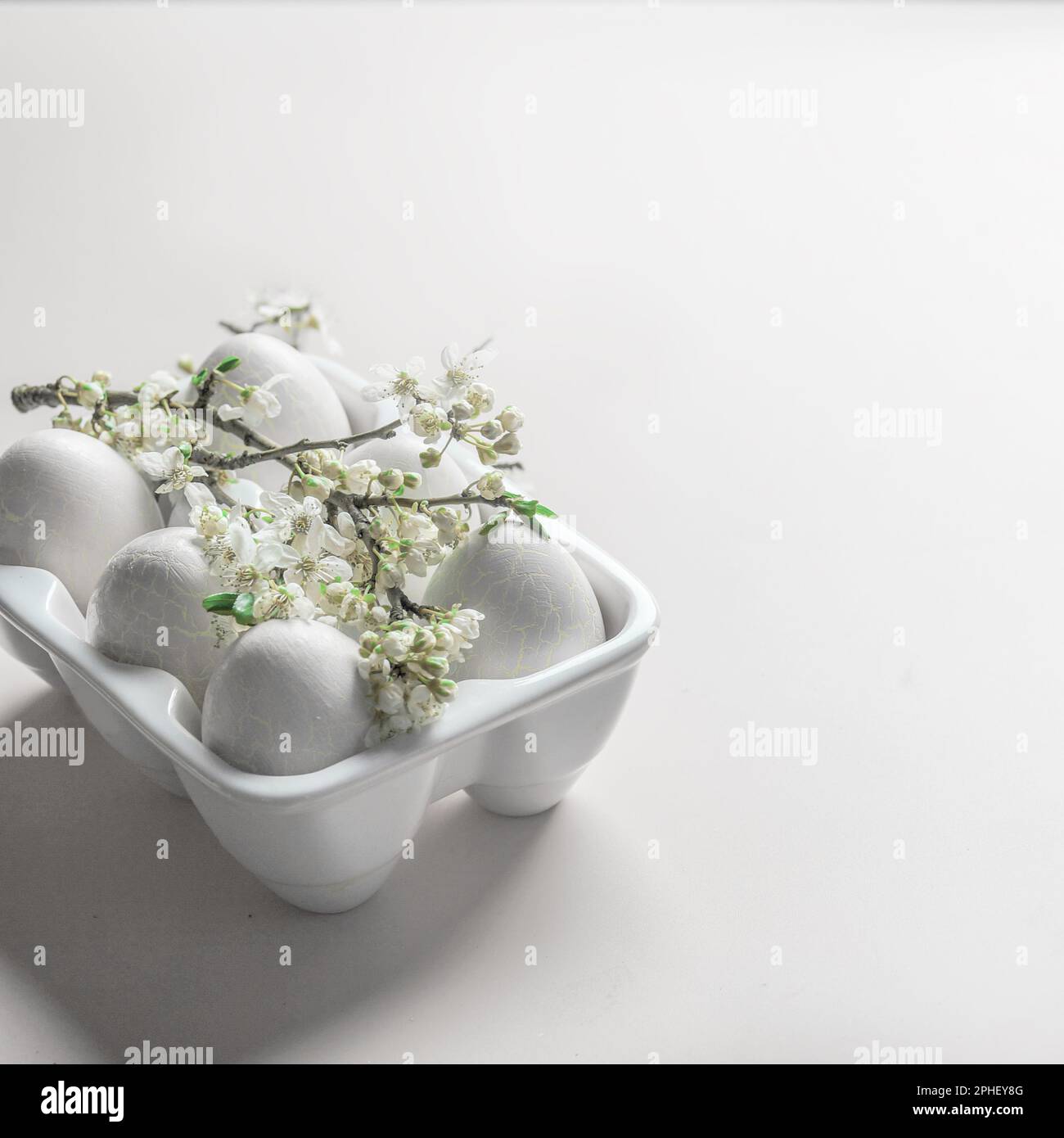 Easter background with eggs in white holder and springtime cherry blossom branch with green leaves Stock Photo