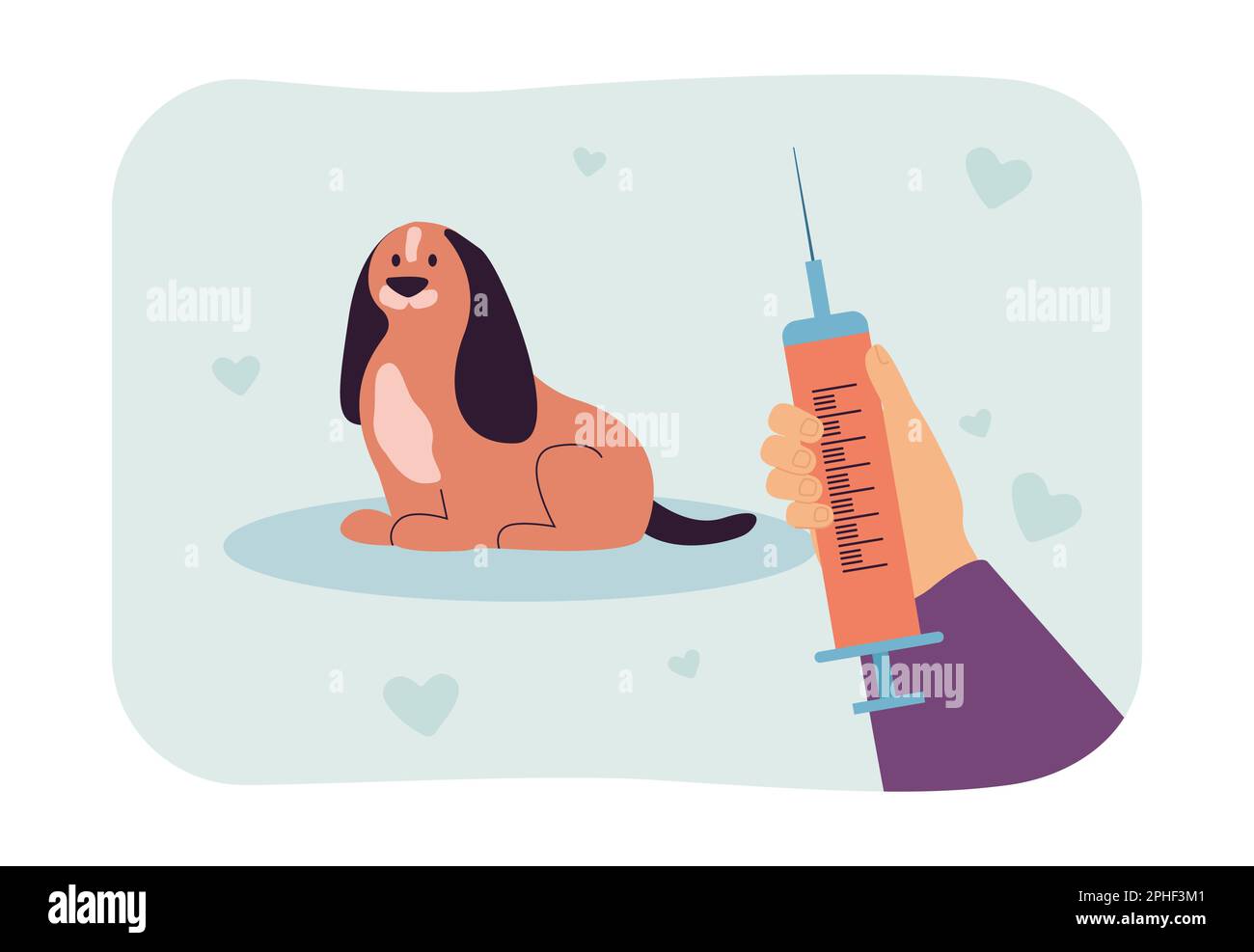 Veterinarians hand holding syringe for injection to little dog Stock