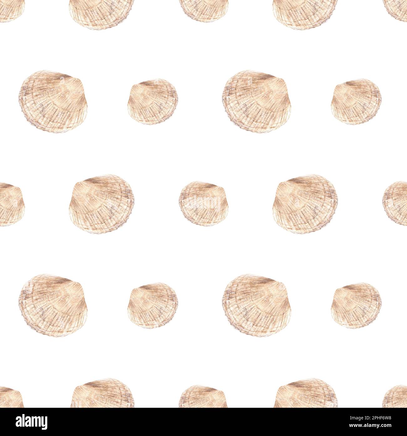 Seamless pattern with seashells. Hand drawn watercolor illustration isolated on white for wrapping, wallpaper, fabric Stock Photo