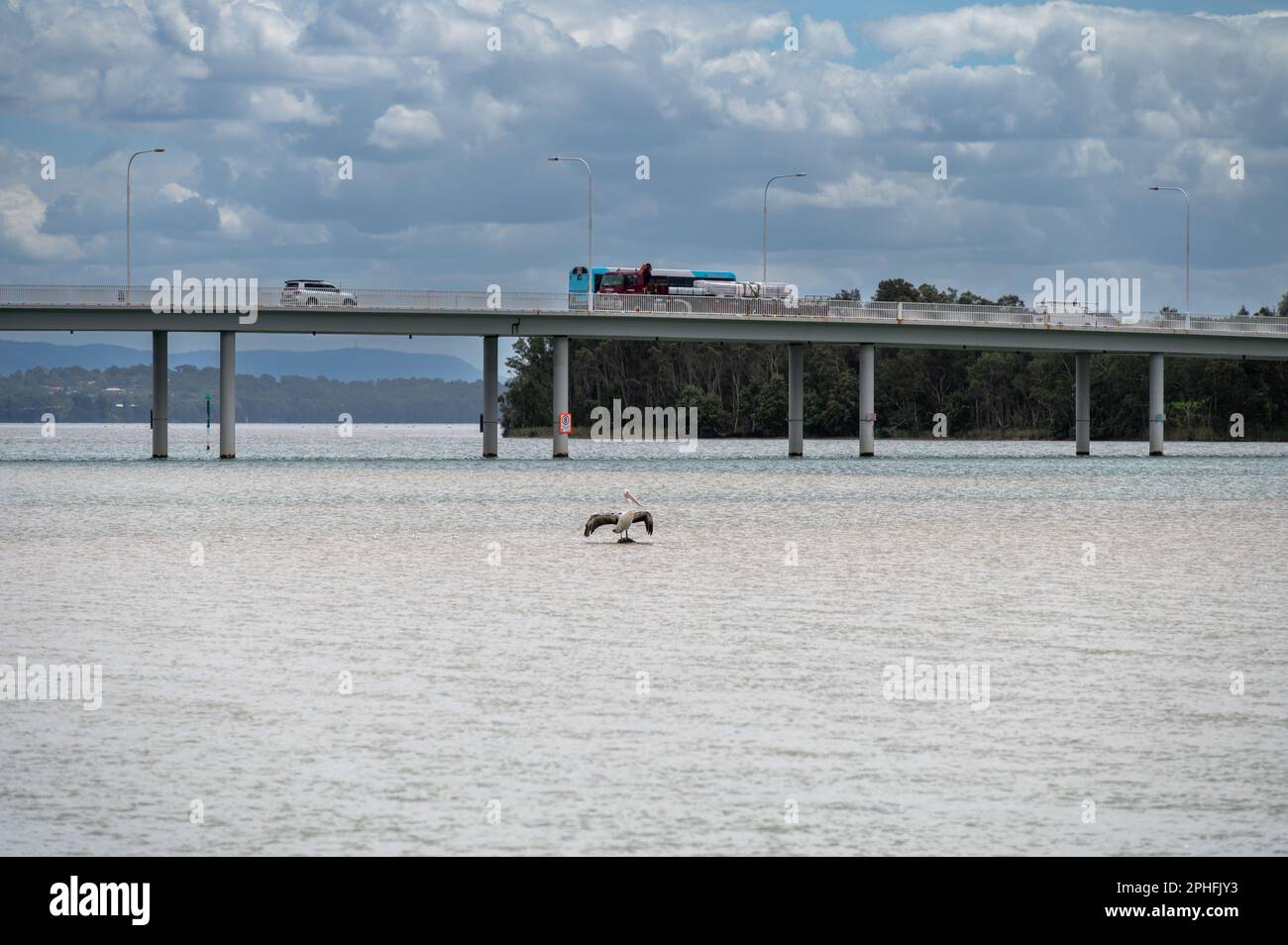 A pelican suns itself in front of the road bridge with Tuggerah Lake beyond, at The Entrance on The Pacific Coast of New South Wales, NSW, Australia. Stock Photo