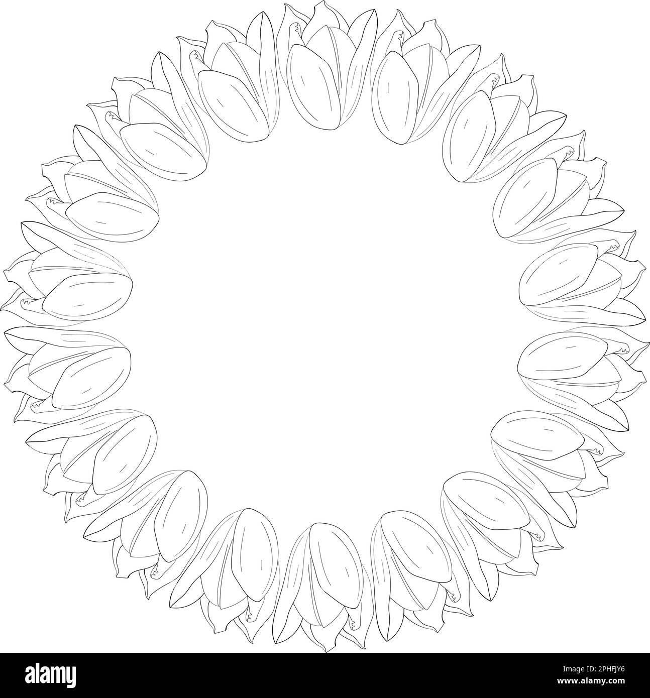 Floral frame. Soft sketched line art graphic vector design element. Stock Vector