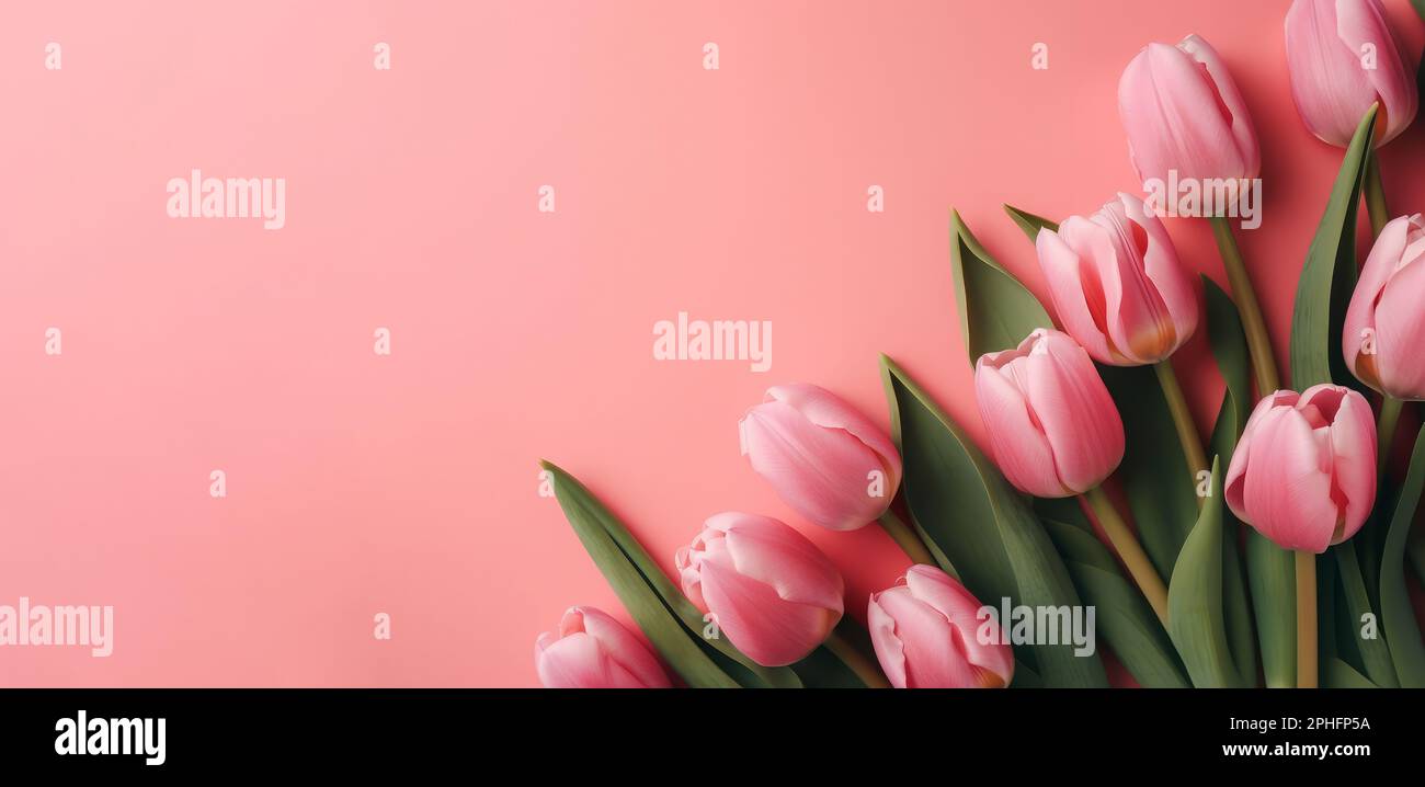 beautiful bouquet of spring tulip flowers on a pink background. Generative ai Stock Photo