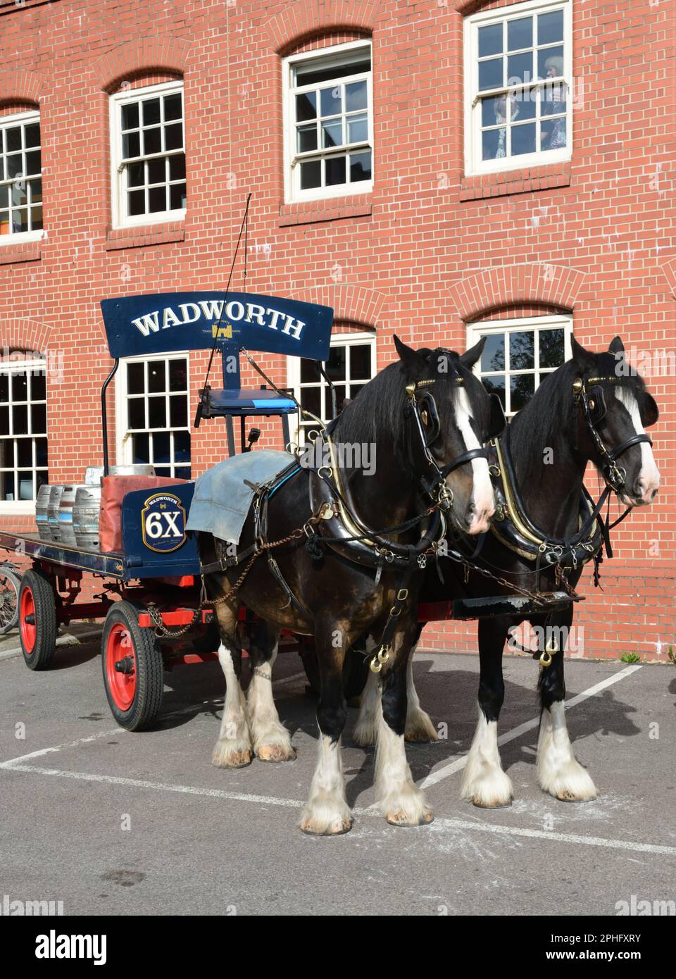 Traditional shire horses hires stock photography and images Alamy