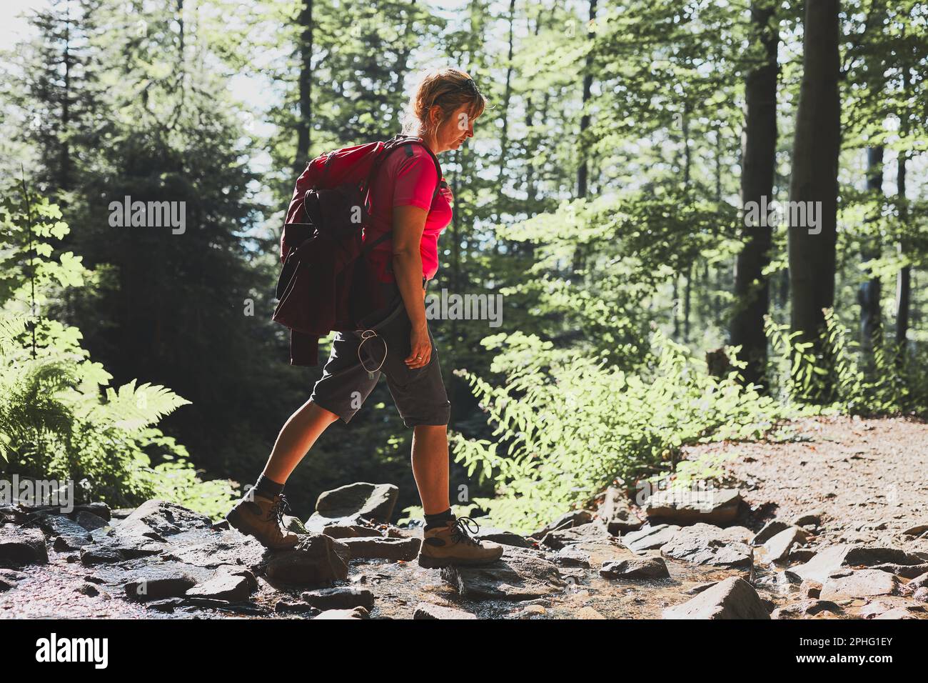 Woman with backpack hiking in mountains, spending summer vacation close to nature. Woman walking on path among bushes and trees Stock Photo