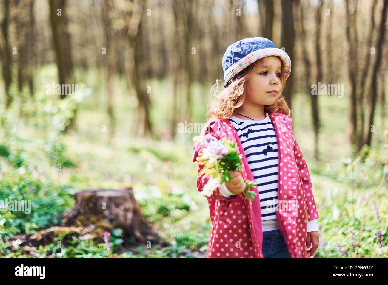 Walk In Spring Forest Happy little girl in blue hat have walk in spring forest at daytime ...