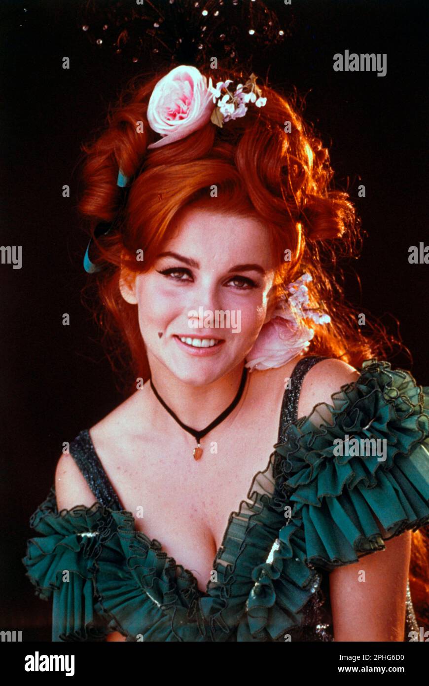 Ann-Margret 1961-1966 ボックスセット 41RY+rJ30CL._UF1000,1000_QL80_.jpg