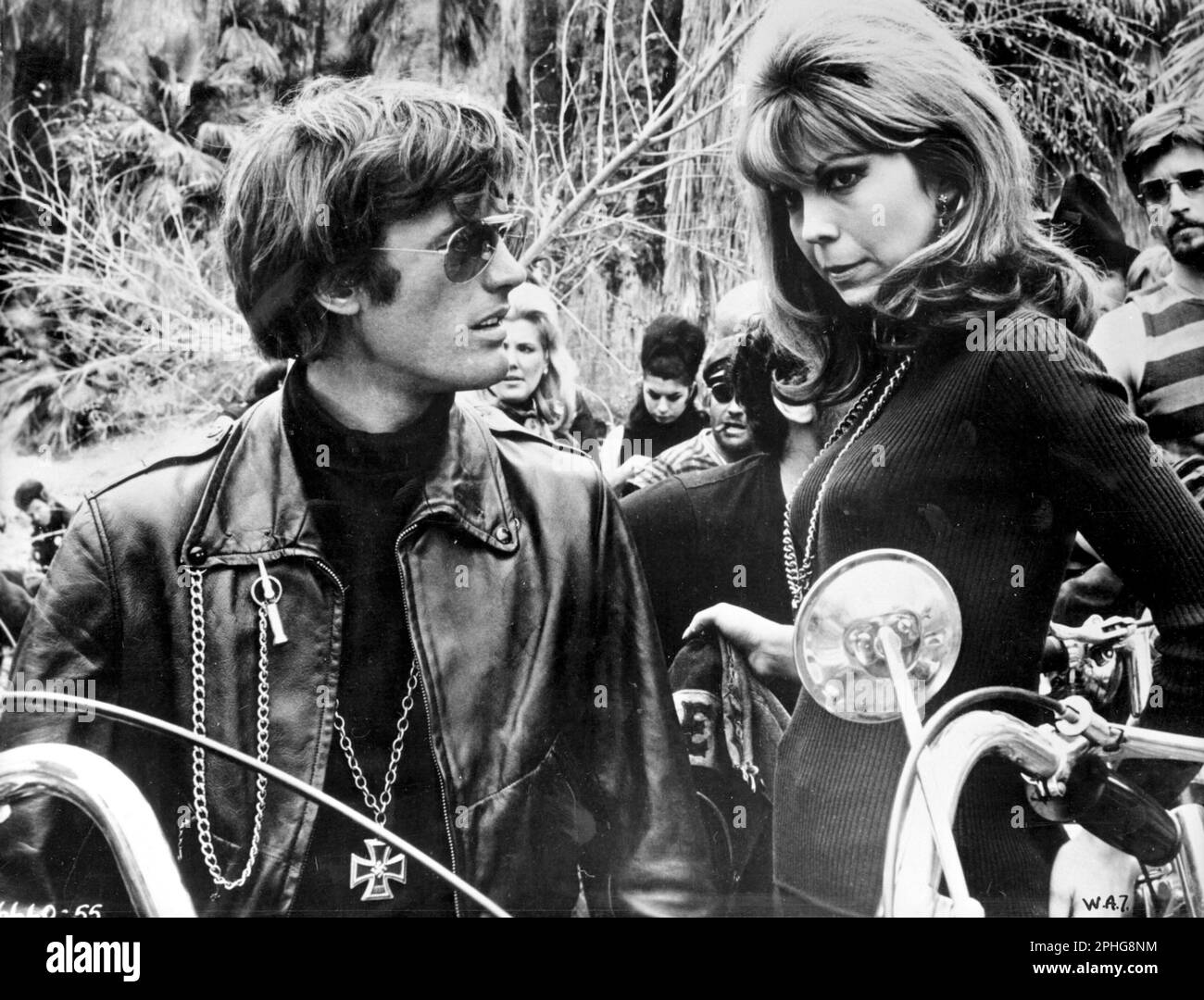 NANCY SINATRA and PETER FONDA in THE WILD ANGELS (1966), directed by ROGER CORMAN. Credit: A.I.P. / Album Stock Photo