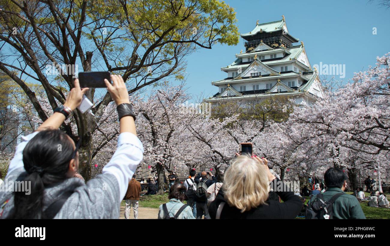 Osaka, Japan. 28th Mar, 2023. People take photos of cherry blossoms at