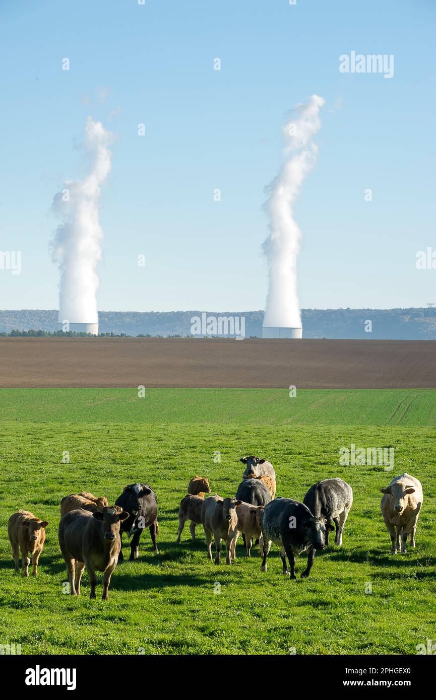 View on the Chooz power plant chimney from the belgian meadows of the  belgian village of Doische | Vue sur les cheminees de la centrale nucleaire  de Stock Photo - Alamy