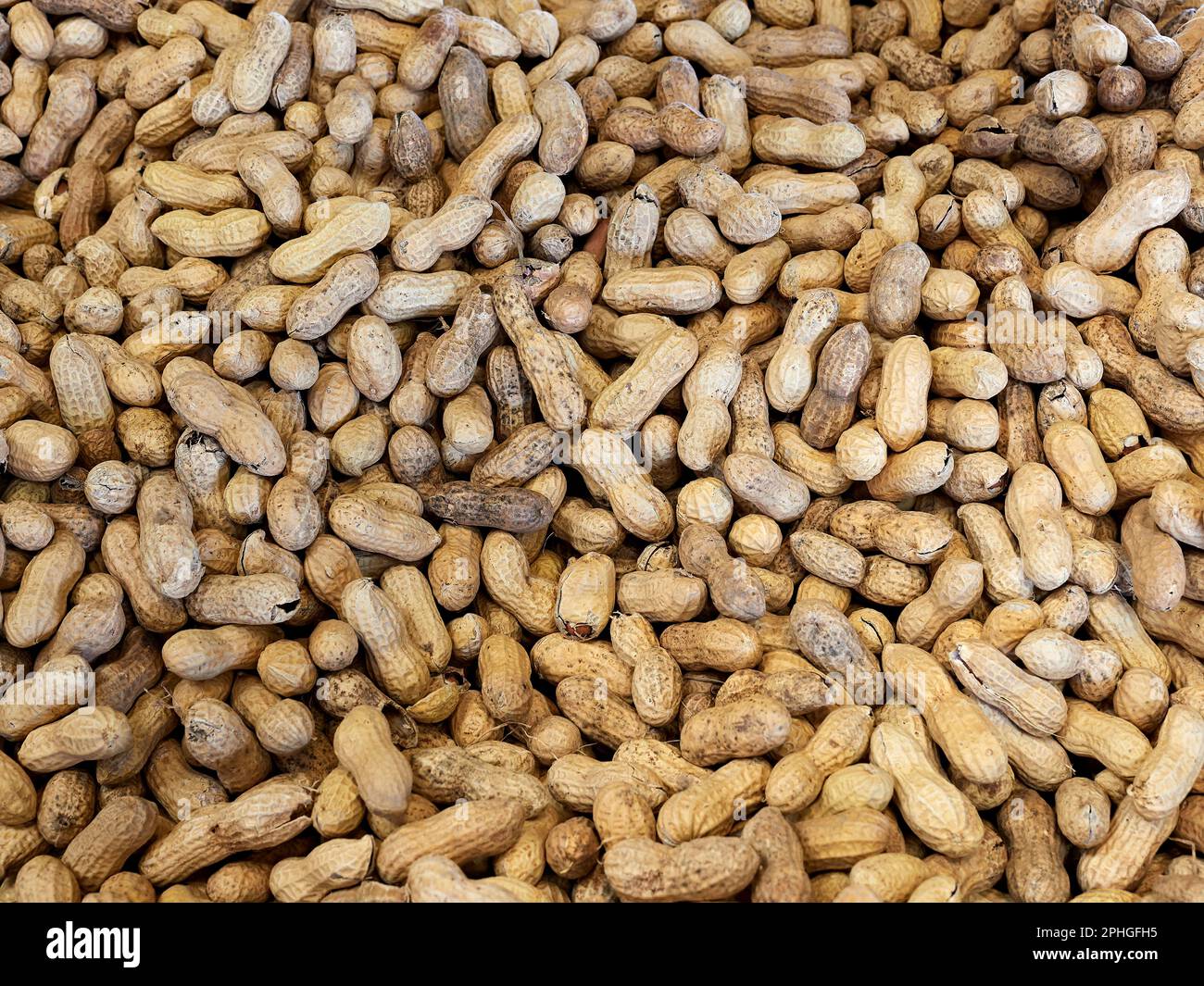 Fresh whole peanuts in peanut shells for sale at a farm market in