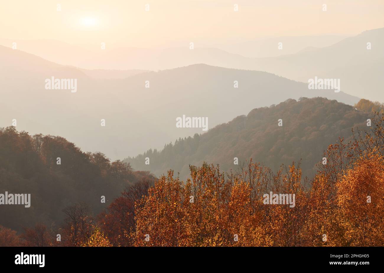 Majestic landscape of autumn trees and mountains by the horizon Stock ...