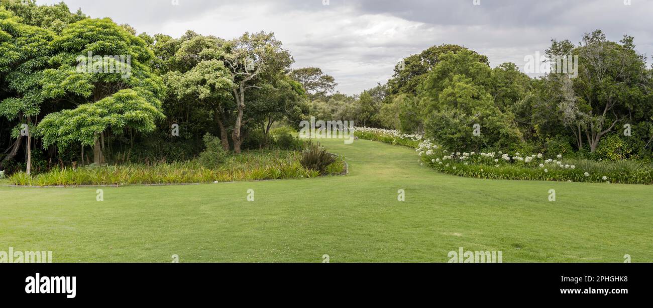 landscape with green lawn surrounded by lush vegetation shot at Kristenbosch Gardens in bright cloudy summer light, Cape Town, Western Cape, South Afr Stock Photo