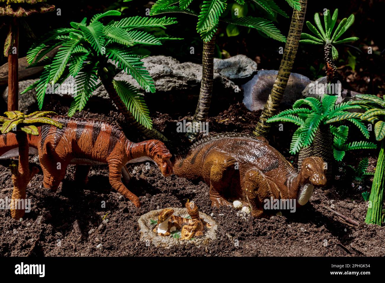Here are some classic Safari figures of the herbivore Maiasaura nesting: (sitting model, 1988; standing model, 1995; nest, 1995). Stock Photo