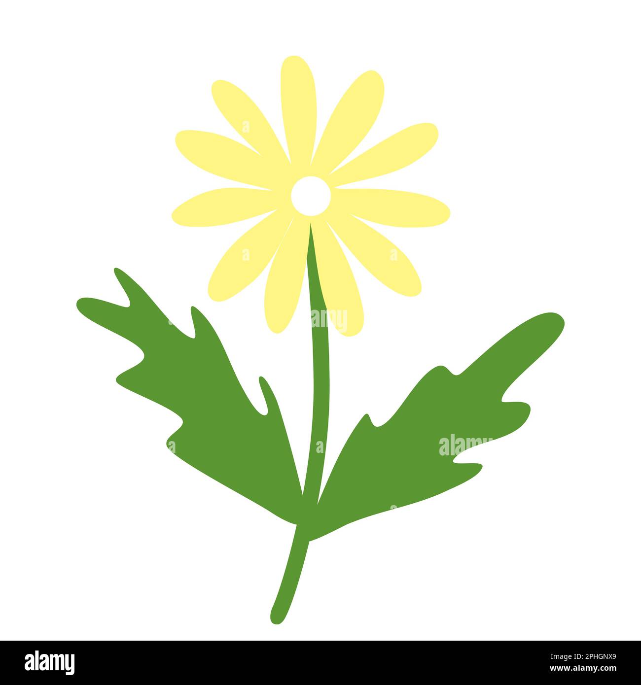 Chamomile or daisy flower, doodle style flat vector illustration Stock ...